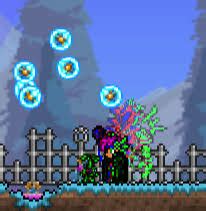 midnight rainbow dye terraria.